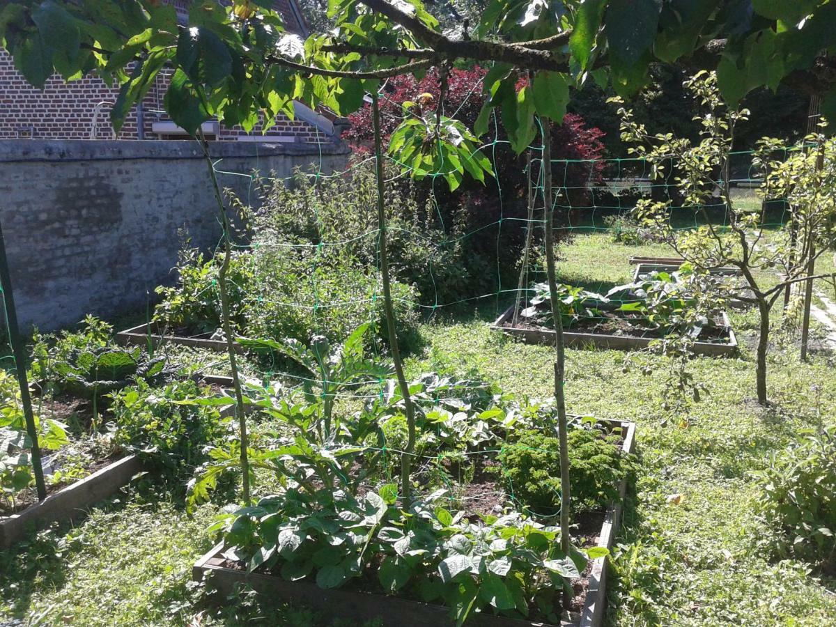 La Chaumiere Du Tordoir Bed and Breakfast Les Rues-des-Vignes Εξωτερικό φωτογραφία